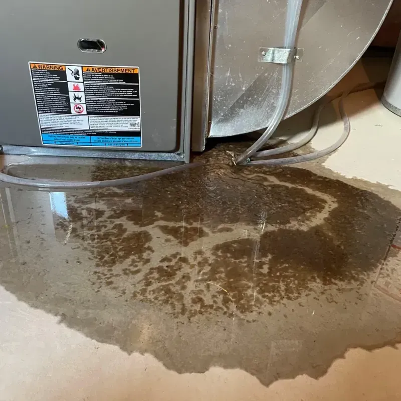 Appliance Leak Cleanup in Stanley, NC